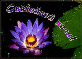 Очень интересная картинка спокойной ночи