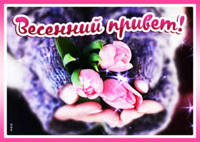 Очень милая открытка привет