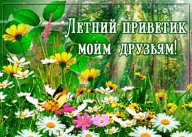 Очень захотелось тебя порадовать мой друг