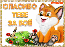 Огромное спасибо тебе за всё