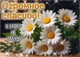 Спасибо