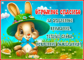 Огромное спасибо за уделенное внимание, теплые слова