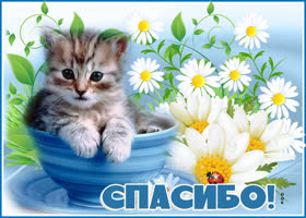 Огромное за всё спасибо