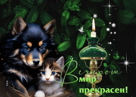 Оригинальная гиф-открытка Вечером мир прекрасен