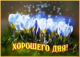 Оригинальная открытка с нежными весенними цветами хорошего дня