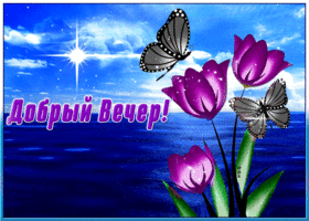 Оригинальная открытка с бабочками и морем Добрый вечер!