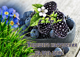 Оригинальная открытка Хорошего настроения на весь день!