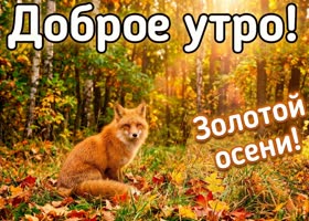 Осень делает каждое утро особенным и немного волшебным.
