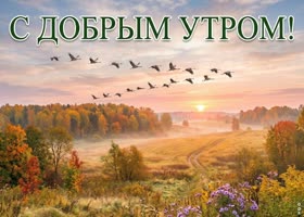 Осень напоминает, что красота есть даже в самых простых моментах.