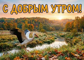 Осень приносит особую атмосферу в каждое утро.