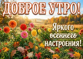 Осеннее небо и прохладный воздух создают особое настроение.