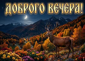 Осеннего вечера с атмосферой спокойствия и гармонии.