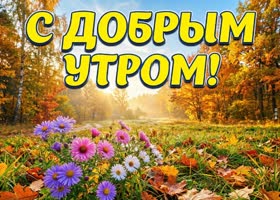 Осенний воздух, яркие листья и новый день впереди.