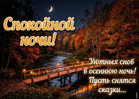 Осенняя прохлада и тихая ночь за окном.