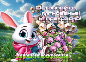 Остановись, мгновенье! Ты прекрасно! Хорошего воскресенья