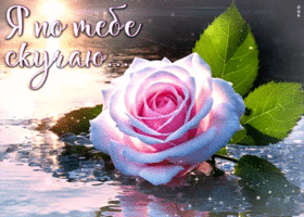 Освежающая и бодрая гиф-открытка Я по тебе скучаю