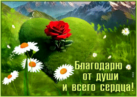 Открытка Благодарю от всей души и от сердца