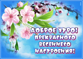 Открытка Доброе утро! Прекрасного весеннего настроения!