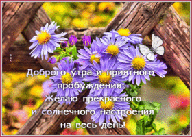 Открытка доброе утро, приятного пробуждения. Счастья и радости вокруг