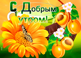 Открытка доброе утро с абрикосами