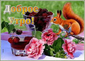 Открытка доброе утро с белочкой. Теплых слов