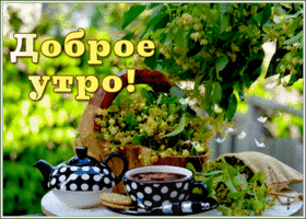 Открытка доброе утро с липой