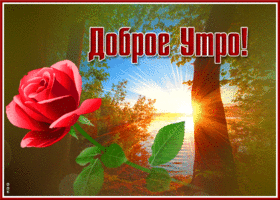 Открытка доброе утро с лучами