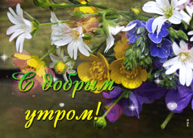 Открытка доброе утро с полевыми цветами. Радости и вдохновения рядом