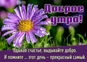 Открытка доброе утро вдыхайте счастье