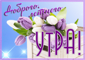 Открытка доброго летнего утра