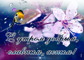 Открытка доброго, славного утра