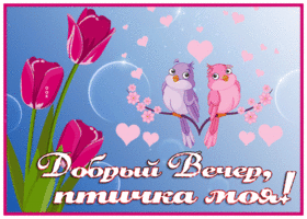 Открытка добрый вечер, птичка моя