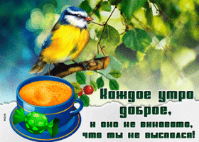 Открытка каждое утро доброе