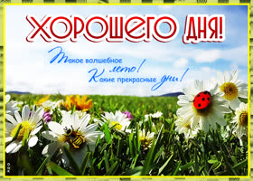 Открытка хорошего летнего денька