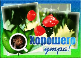 Открытка хорошего утра. Тепла в сердце