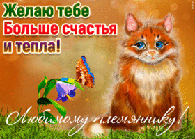 Открытка любимому племяннику