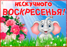 Открытка нескучного воскресенья