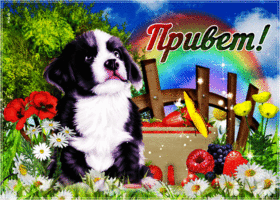 Открытка Нежный от меня привет