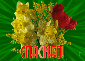 Открытка огромное спасибо! С весенними цветами
