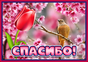 Открытка от всей души благодарю