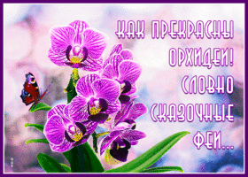 Открытка плейкаст для друзей