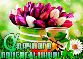 Открытка понедельник с тюльпанами