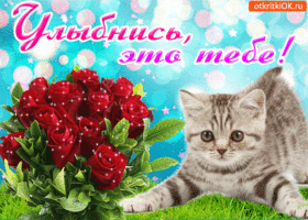 Пожелание Хорошего Настроения. Добрых сердец и тепла повсюду