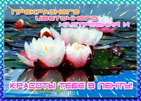 Открытка прекрасного настроения. Счастья и вдохновения рядом