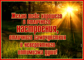 Открытка прекрасного солнечного настроения