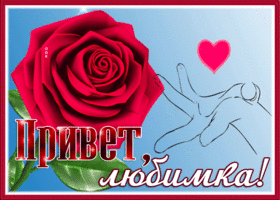 Открытка привет любимка