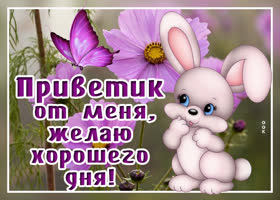 Открытка привет с пожеланием. Радости и успеха