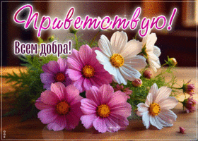 Открытка Приветствую! Всем добра