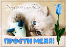 Открытка прости меня, я хочу быть рядом