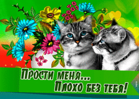 Открытка прости, мне плохо без тебя